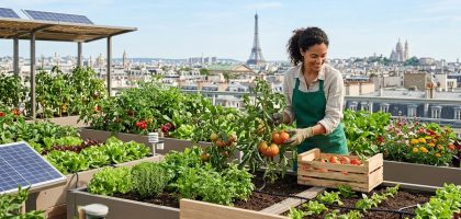Les 4 secrets d'une startup parisienne qui a transformé les toits en potagers urbains rentables